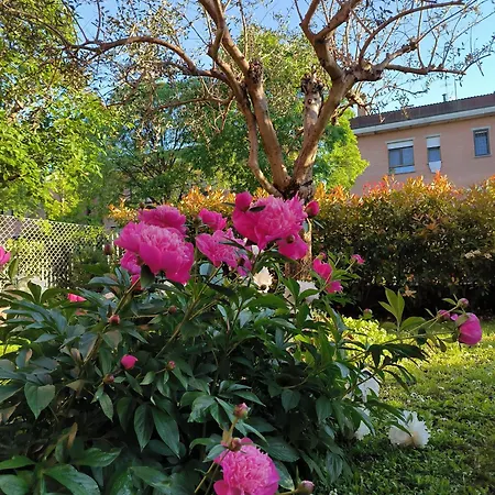 Appartamento Carla' S House