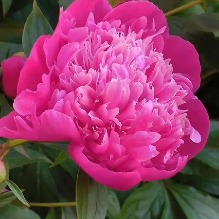 Carla' S House Appartement Anzola dell'Emilia