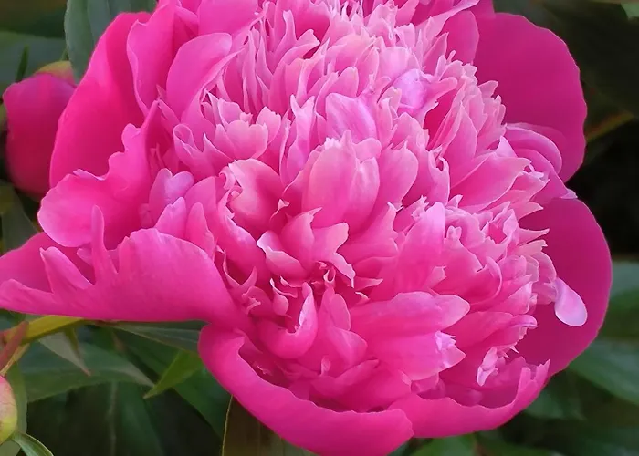 Carla' S House Lägenhet Anzola dell'Emilia