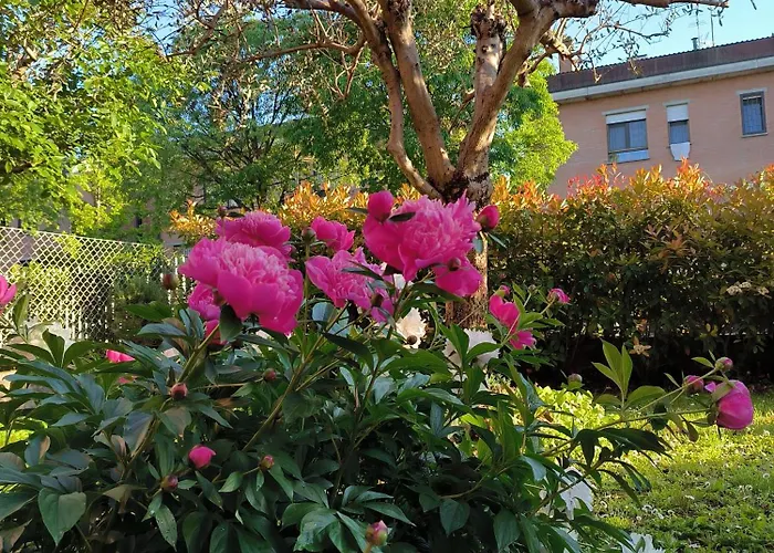 Lägenhet Carla' S House